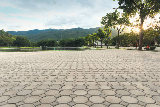 Best Decorative Driveway Pavers  in Woodville, WI